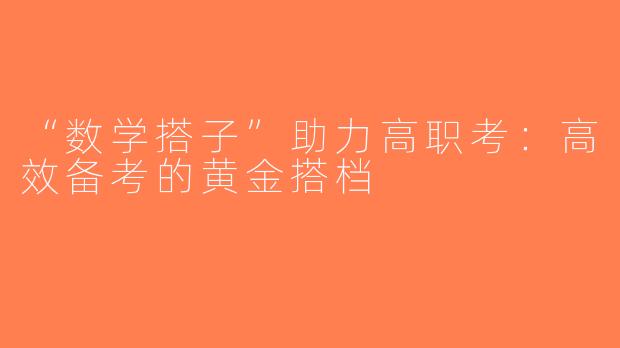 “数学搭子”助力高职考：高效备考的黄金搭档