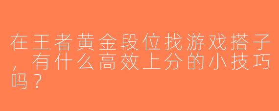 在王者黄金段位找游戏搭子，有什么高效上分的小技巧吗？