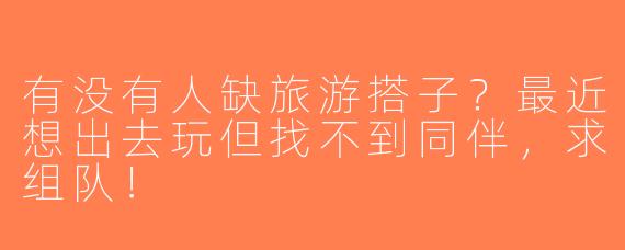 有没有人缺旅游搭子？最近想出去玩但找不到同伴，求组队！