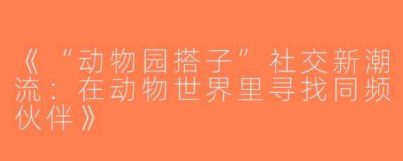 《“动物园搭子”社交新潮流：在动物世界里寻找同频伙伴》