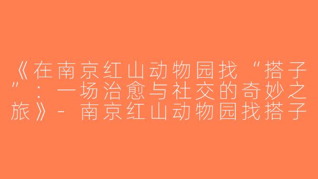 《在南京红山动物园找“搭子”：一场治愈与社交的奇妙之旅》-南京红山动物园找搭子