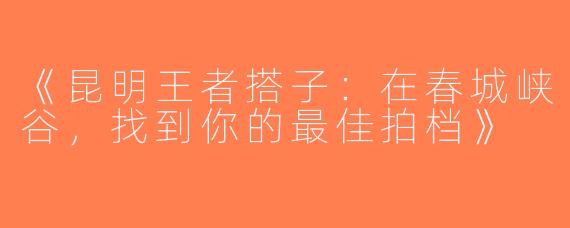《昆明王者搭子：在春城峡谷，找到你的最佳拍档》