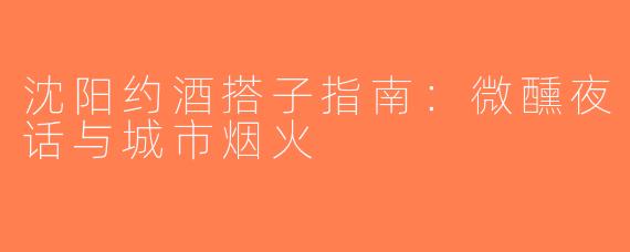 沈阳约酒搭子指南：微醺夜话与城市烟火