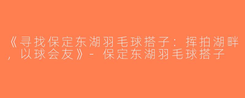 《寻找保定东湖羽毛球搭子：挥拍湖畔，以球会友》-保定东湖羽毛球搭子