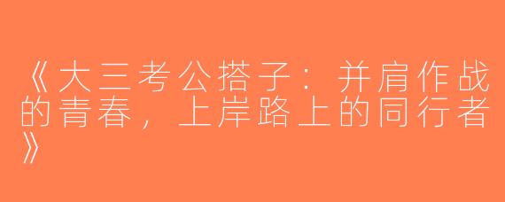 《大三考公搭子：并肩作战的青春，上岸路上的同行者》