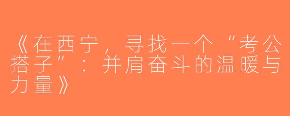 《在西宁，寻找一个“考公搭子”：并肩奋斗的温暖与力量》