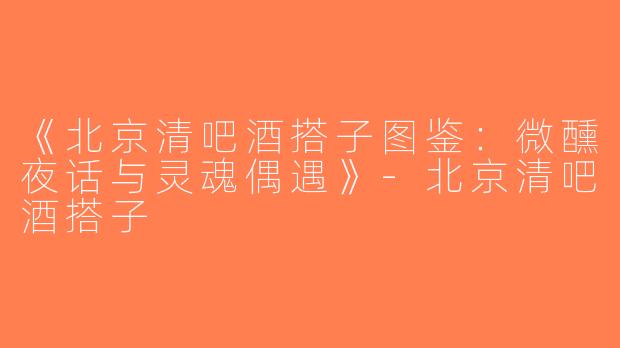 《北京清吧酒搭子图鉴：微醺夜话与灵魂偶遇》-北京清吧酒搭子