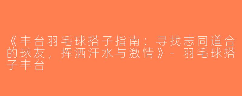 《丰台羽毛球搭子指南：寻找志同道合的球友，挥洒汗水与激情》-羽毛球搭子丰台