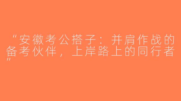 “安徽考公搭子：并肩作战的备考伙伴，上岸路上的同行者”