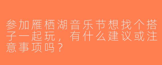 参加雁栖湖音乐节想找个搭子一起玩，有什么建议或注意事项吗？