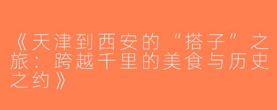 《天津到西安的“搭子”之旅：跨越千里的美食与历史之约》