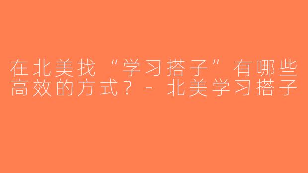在北美找“学习搭子”有哪些高效的方式？-北美学习搭子
