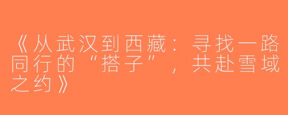 《从武汉到西藏：寻找一路同行的“搭子”，共赴雪域之约》