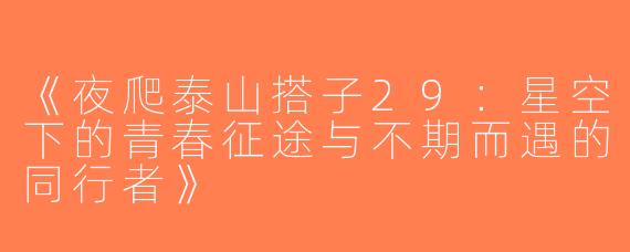 《夜爬泰山搭子29：星空下的青春征途与不期而遇的同行者》
