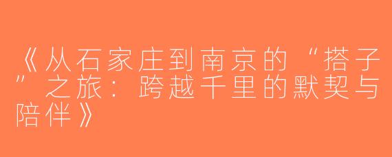 《从石家庄到南京的“搭子”之旅：跨越千里的默契与陪伴》