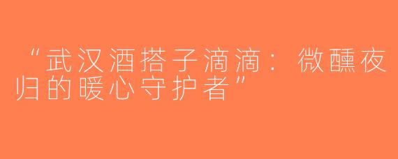 “武汉酒搭子滴滴：微醺夜归的暖心守护者”