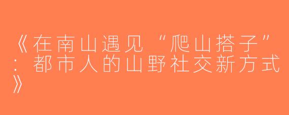 《在南山遇见“爬山搭子”：都市人的山野社交新方式》