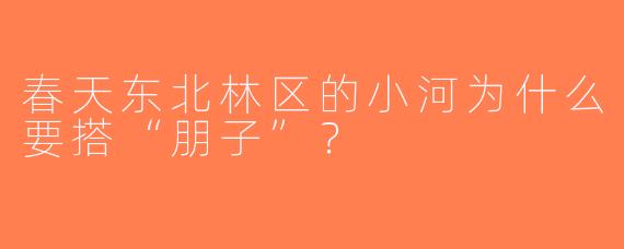 春天东北林区的小河为什么要搭“朋子”？