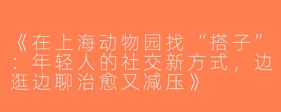 《在上海动物园找“搭子”：年轻人的社交新方式，边逛边聊治愈又减压》
