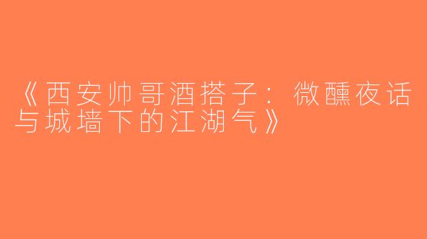 《西安帅哥酒搭子：微醺夜话与城墙下的江湖气》