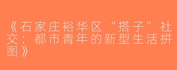 《石家庄裕华区“搭子”社交：都市青年的新型生活拼图》