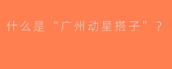 什么是“广州动星搭子”？