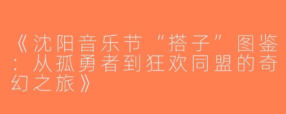 《沈阳音乐节“搭子”图鉴：从孤勇者到狂欢同盟的奇幻之旅》
