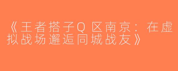 《王者搭子Q区南京：在虚拟战场邂逅同城战友》