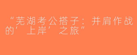 “芜湖考公搭子：并肩作战的‘上岸’之旅”