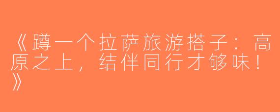 《蹲一个拉萨旅游搭子：高原之上，结伴同行才够味！》