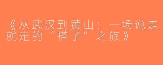 《从武汉到黄山：一场说走就走的“搭子”之旅》