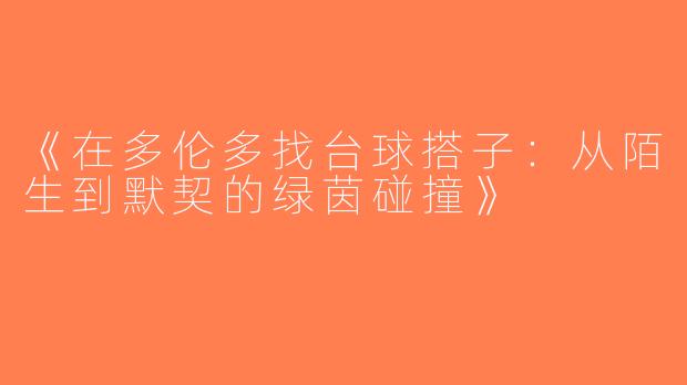 《在多伦多找台球搭子：从陌生到默契的绿茵碰撞》
