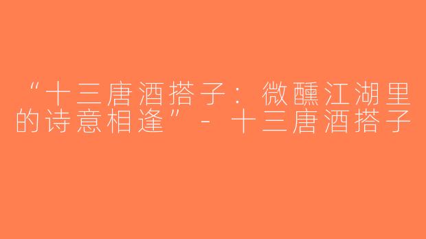 “十三唐酒搭子：微醺江湖里的诗意相逢”-十三唐酒搭子