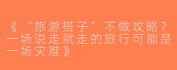 《“旅游搭子”不做攻略？一场说走就走的旅行可能是一场灾难》