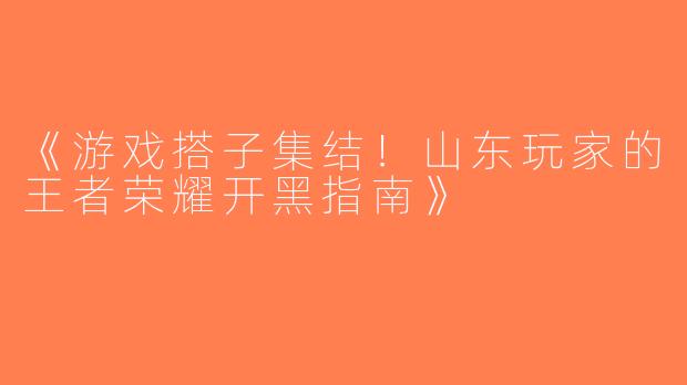 《游戏搭子集结！山东玩家的王者荣耀开黑指南》