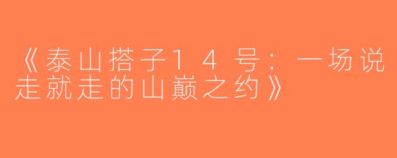 《泰山搭子14号：一场说走就走的山巅之约》