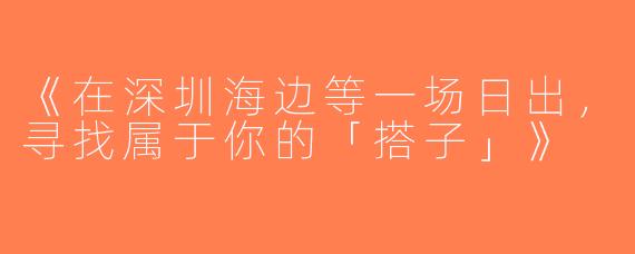 《在深圳海边等一场日出，寻找属于你的「搭子」》