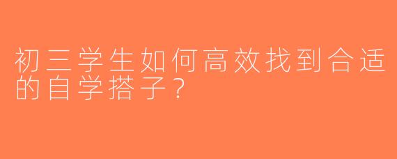 初三学生如何高效找到合适的自学搭子？