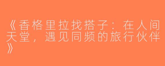 《香格里拉找搭子：在人间天堂，遇见同频的旅行伙伴》
