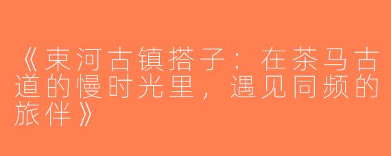 《束河古镇搭子：在茶马古道的慢时光里，遇见同频的旅伴》