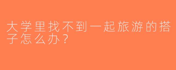 大学里找不到一起旅游的搭子怎么办？