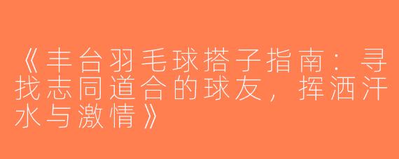 《丰台羽毛球搭子指南：寻找志同道合的球友，挥洒汗水与激情》