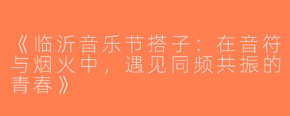 《临沂音乐节搭子：在音符与烟火中，遇见同频共振的青春》