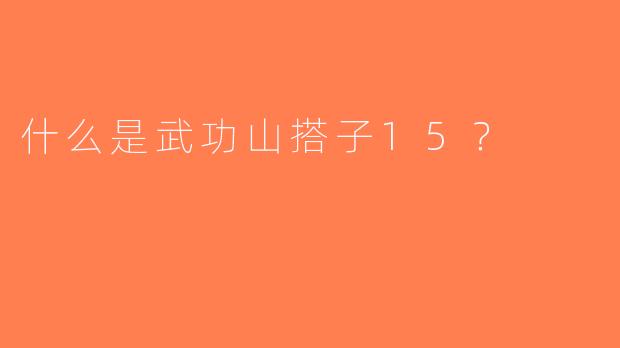 什么是武功山搭子15？