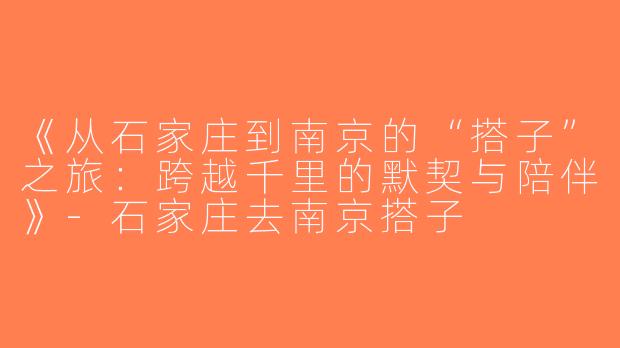 《从石家庄到南京的“搭子”之旅：跨越千里的默契与陪伴》-石家庄去南京搭子