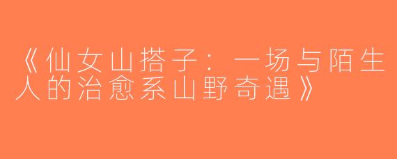 《仙女山搭子：一场与陌生人的治愈系山野奇遇》