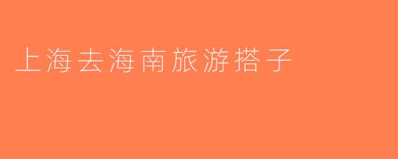 上海去海南旅游搭子