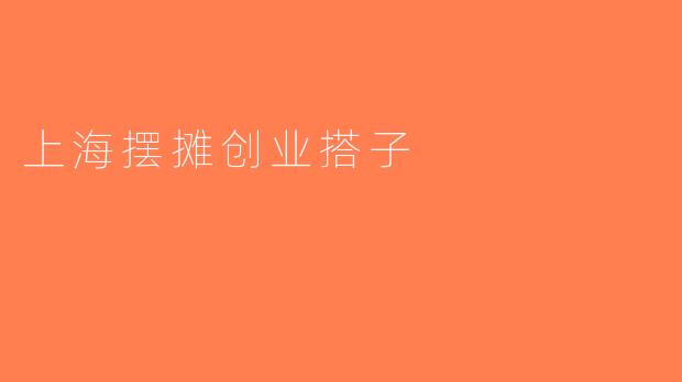 上海摆摊创业搭子