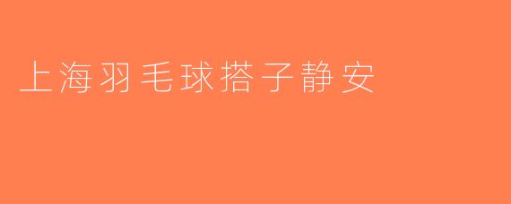 上海羽毛球搭子静安