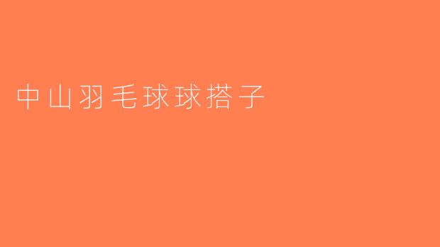 中山羽毛球球搭子